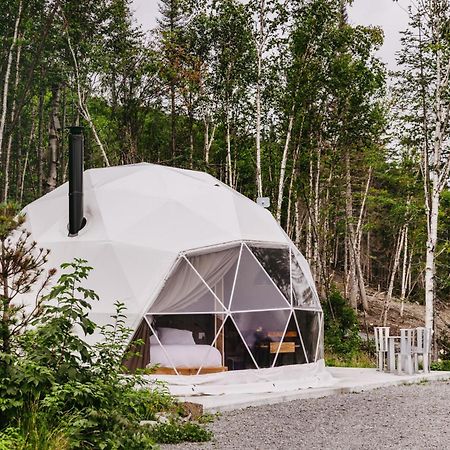 Ferienwohnung Les Diamants De L'Eternel Saint-David-de-Falardeau Exterior foto